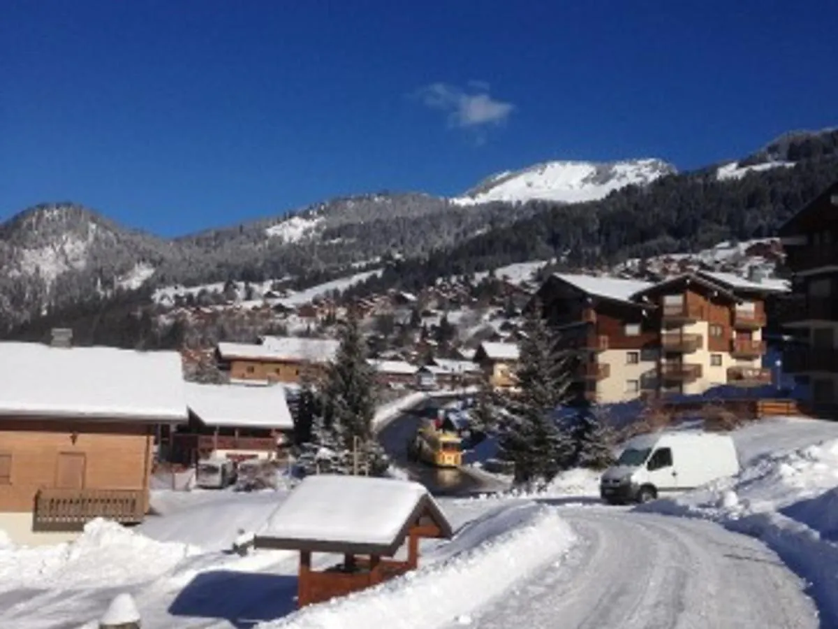 Charmant T2 Pour 5 Pers. Avec Terrasse, Parking Prive Et Proximite Centre-Village Et Navettes. - Fr-1-676-120 Chatel Apartment
